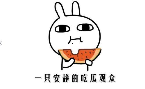 娱乐吃瓜君的消息准确吗,消息准确性揭秘