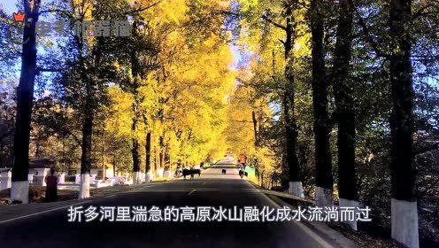 娱乐吃瓜君的作品,揭秘娱乐圈那些不为人知的幕后故事